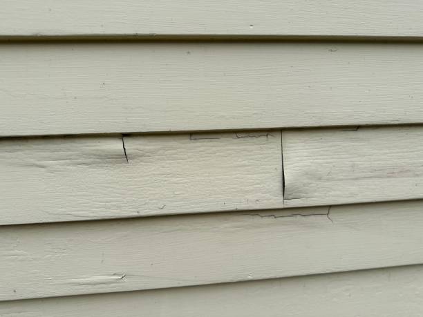 Affordable Siding Repair and Maintenance Services in Artesia, CA